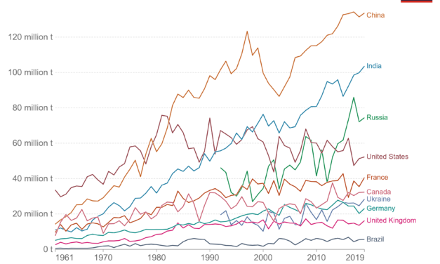 The West screams Famine and blames Russia, but how true is it?